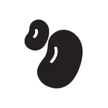 Two_Black_Seeds_Representing_SEED_Website_Package_Sprout_Your_Practice