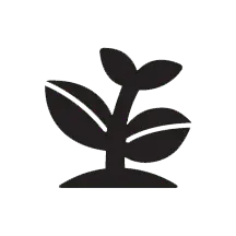 Thriving_Plant_Representing_THRIVE_Website_Package_Sprout_Your_Practice