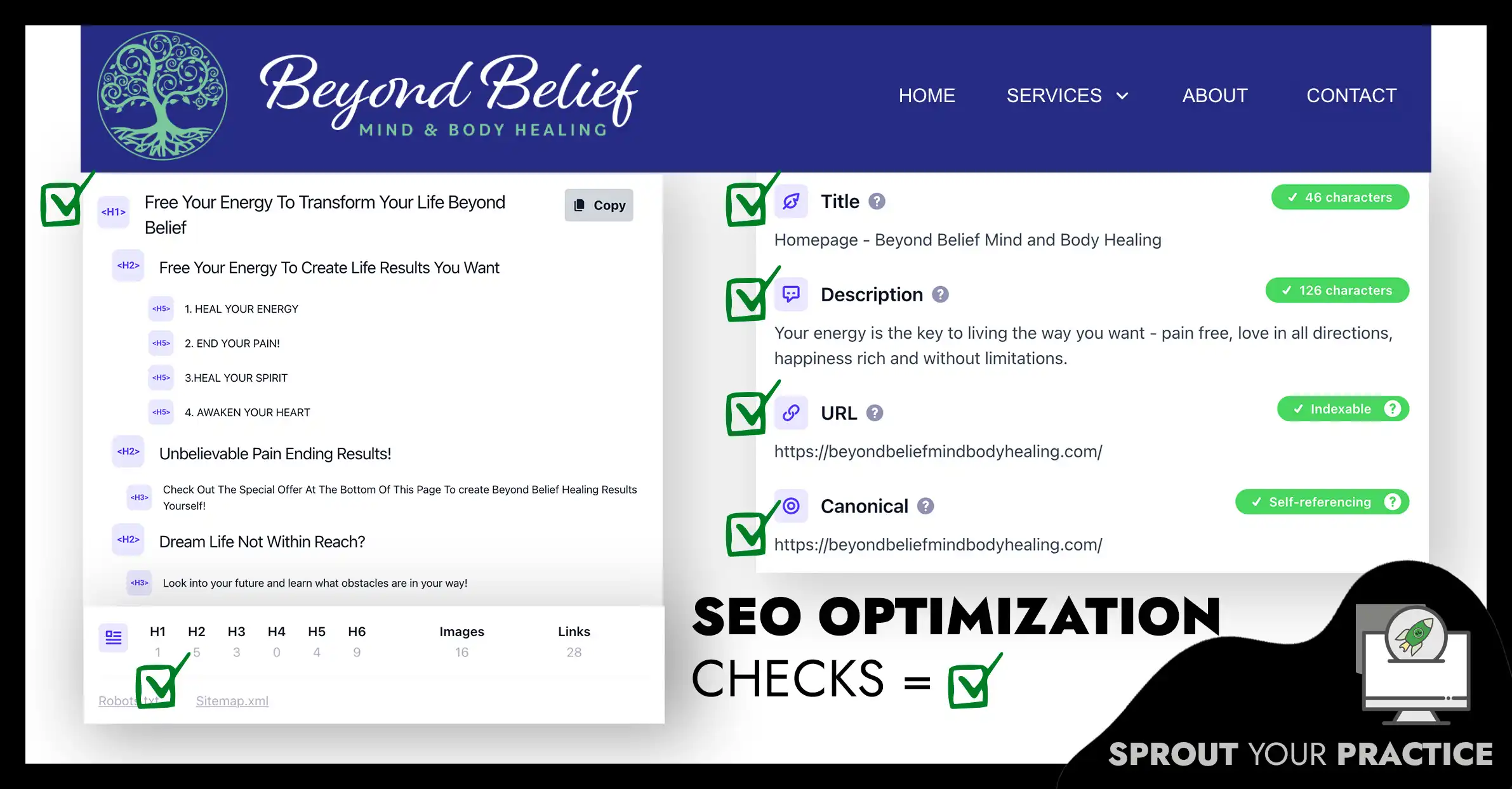 SEO quick checks using chrome extension detailed seo